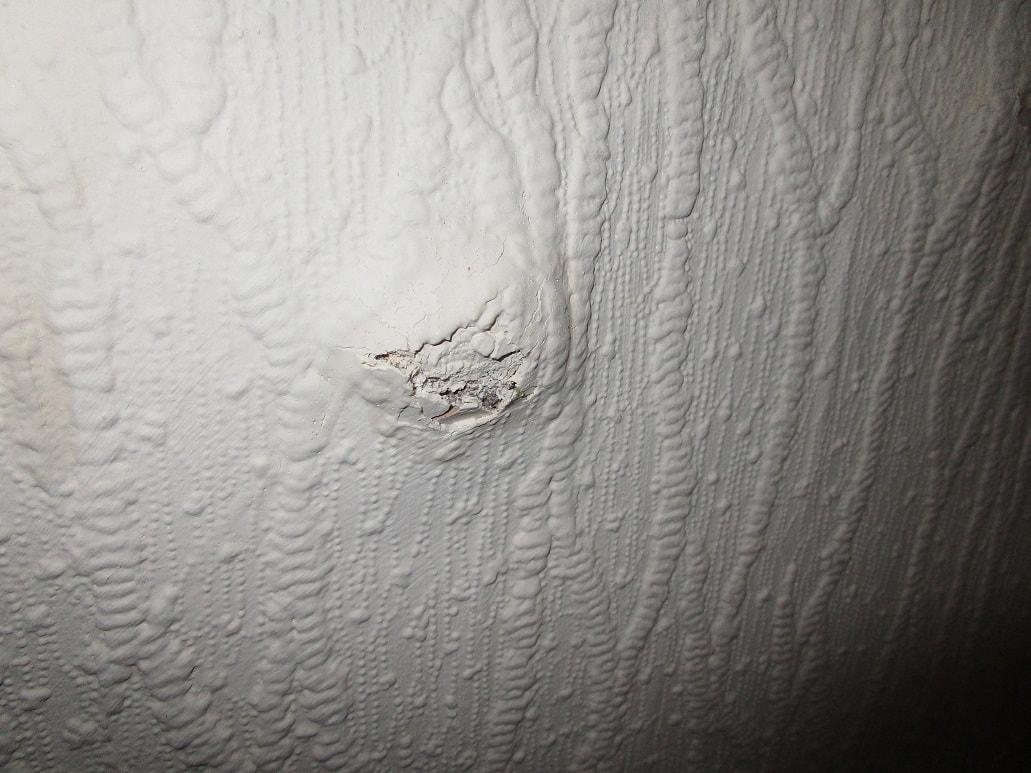 Blown plaster caused by water penetration