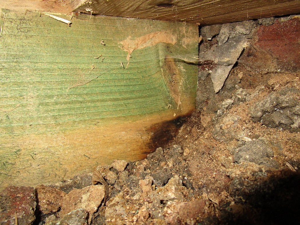 Timber floor joist with bridging material causing wet rot